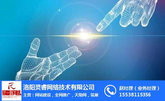 洛阳网站开发与装修网站开发互联网销售费用解析